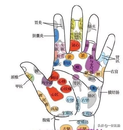 手指對應五臟|五指對五臟，按揉手指穴位能養生保健